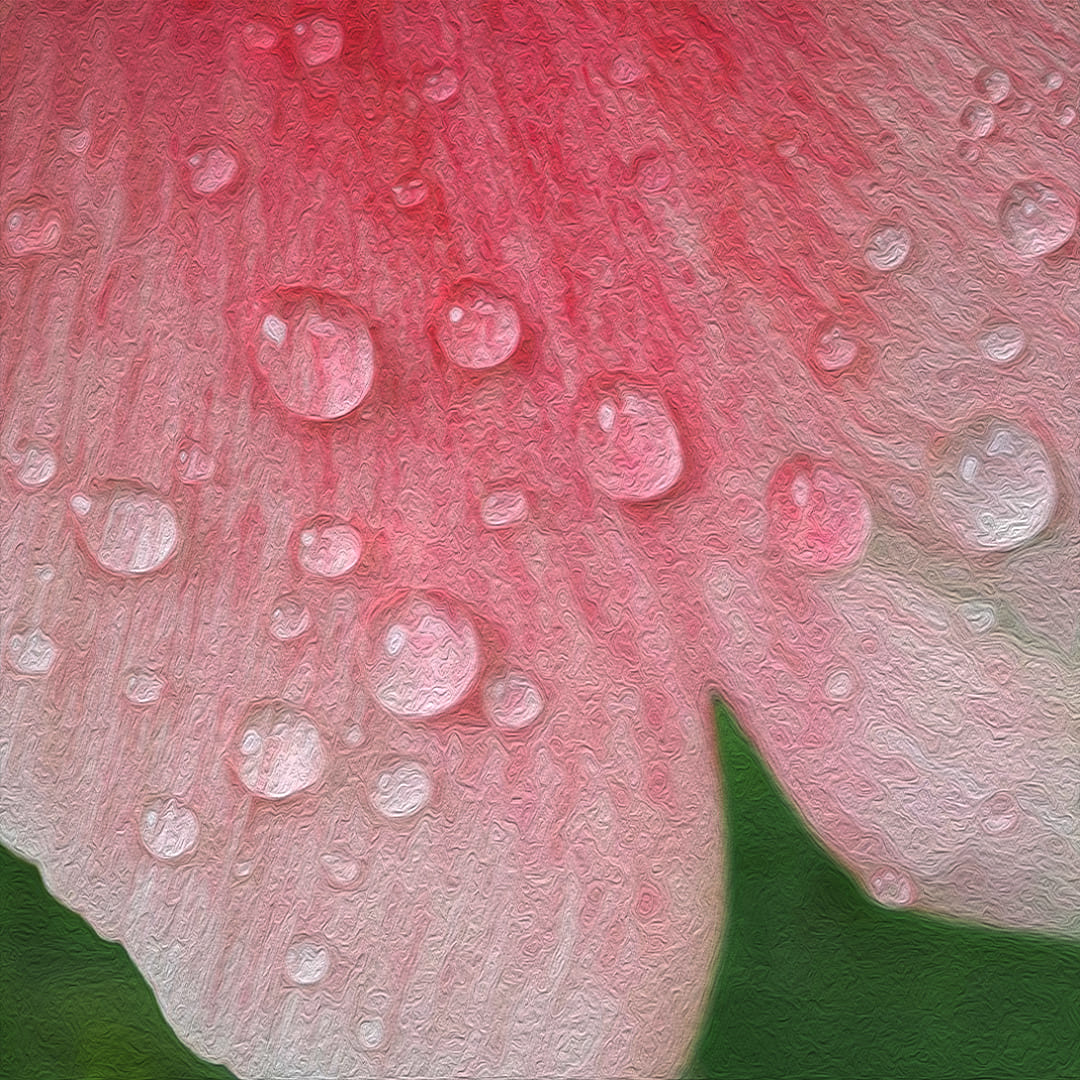 ayurveda-konsultation