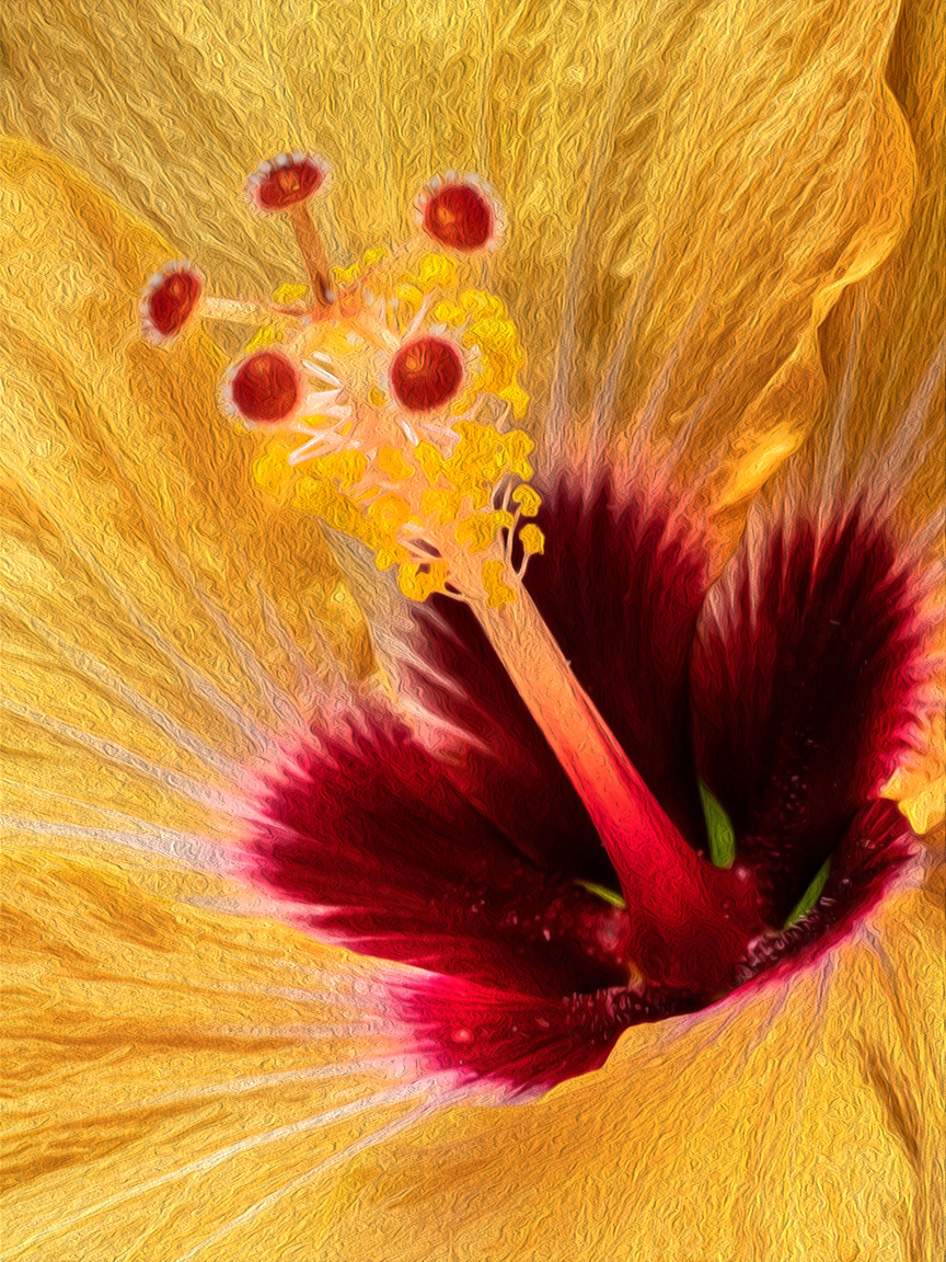 energie-heilarbeit-heilpraktikerin