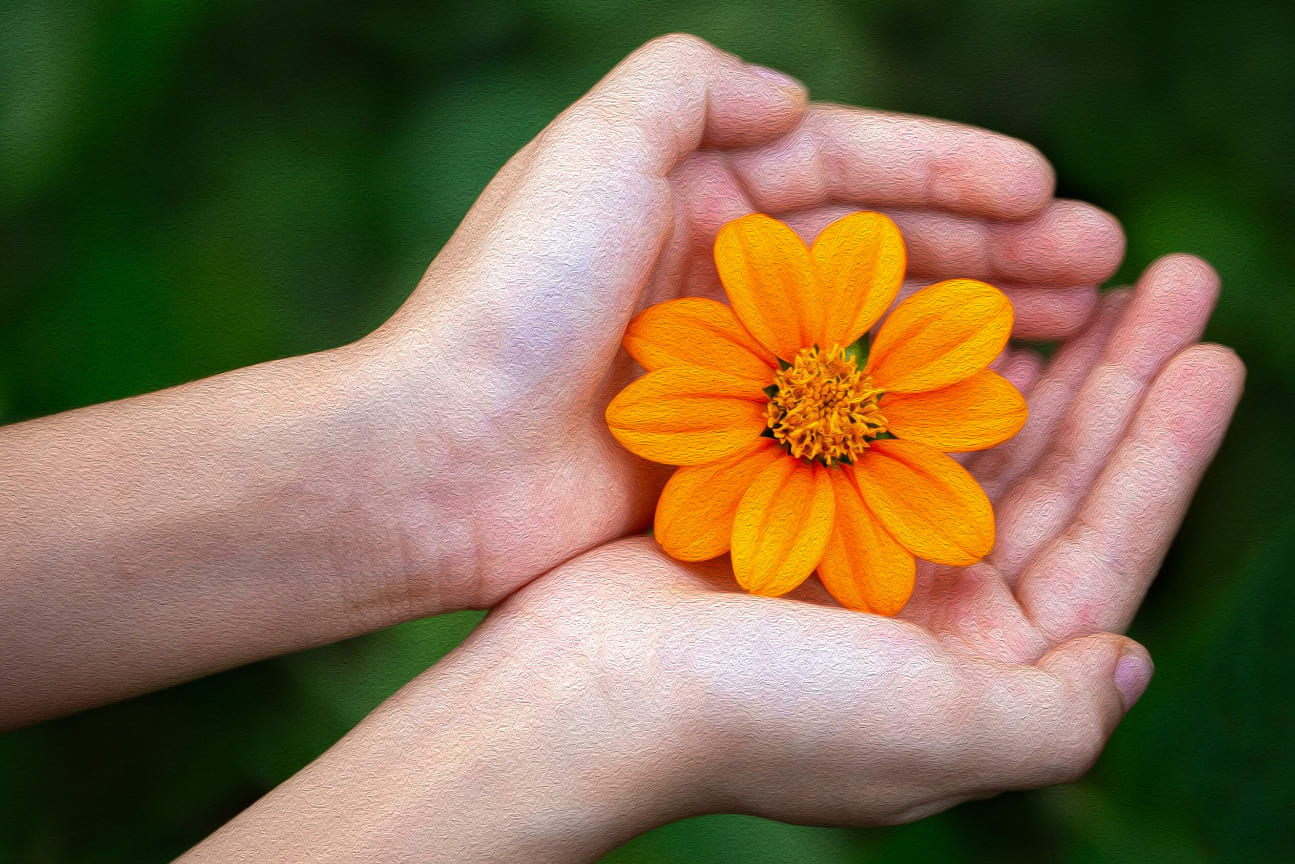 ganzheitliche-hei.larbeit-coaching