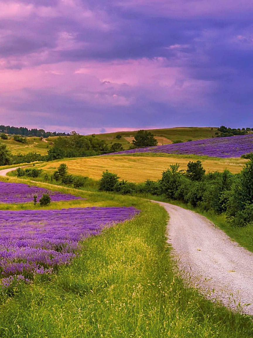 mentale-emotionale-gesundheit