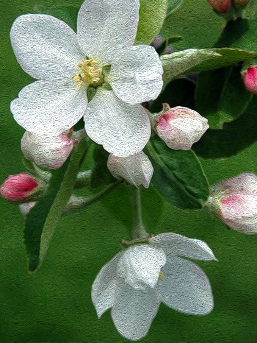 spirituelle-lebens-beratung